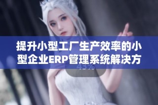 提升小型工厂生产效率的小型企业ERP管理系统解决方案