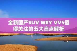 全新国产SUV WEY VV5值得关注的五大亮点解析
