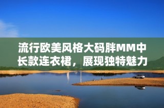 流行欧美风格大码胖MM中长款连衣裙，展现独特魅力与时尚感