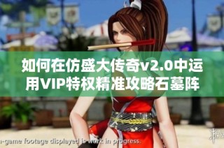 如何在仿盛大传奇v2.0中运用VIP特权精准攻略石墓阵走法