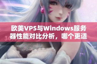 欧美VPS与Windows服务器性能对比分析，哪个更适合你？