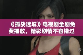 《孤战迷城》电视剧全剧免费播放，精彩剧情不容错过