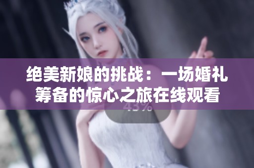 绝美新娘的挑战：一场婚礼筹备的惊心之旅在线观看