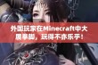 外国玩家在Minecraft中大展拳脚，玩得不亦乐乎！