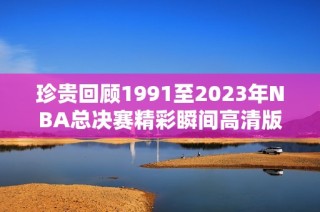 珍贵回顾1991至2023年NBA总决赛精彩瞬间高清版下载资源