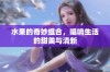 水果的奇妙组合，唱响生活的甜美与清新