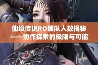 仙境传说RO团队人数揭秘——协作探索的极限与可能性