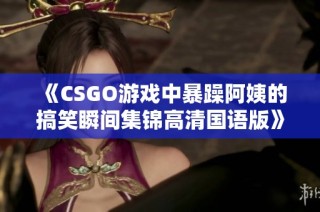 《CSGO游戏中暴躁阿姨的搞笑瞬间集锦高清国语版》