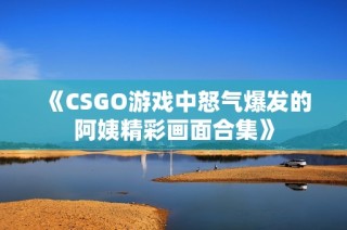 《CSGO游戏中怒气爆发的阿姨精彩画面合集》