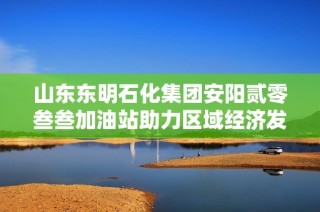 山东东明石化集团安阳贰零叁叁加油站助力区域经济发展与能源供应保障