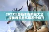 2023年最新传奇新服大全，探秘目前最高爆率传奇开服信息