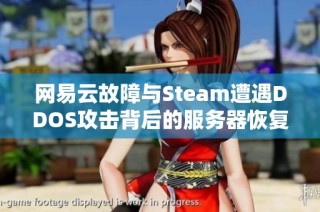 网易云故障与Steam遭遇DDOS攻击背后的服务器恢复秘诀