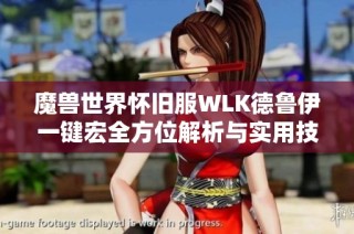 魔兽世界怀旧服WLK德鲁伊一键宏全方位解析与实用技巧分享