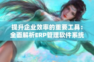 提升企业效率的重要工具：全面解析ERP管理软件系统