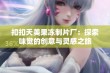 扣扣天美果冻制片厂：探索味觉的创意与灵感之旅