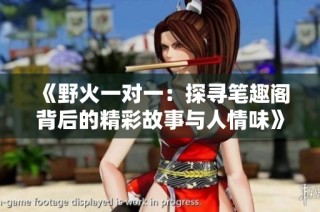 《野火一对一：探寻笔趣阁背后的精彩故事与人情味》