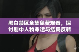 黑白禁区全集免费观看，探讨剧中人物命运与结局反转