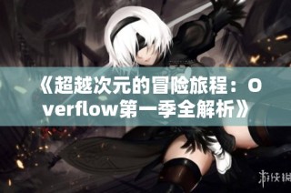 《超越次元的冒险旅程：Overflow第一季全解析》