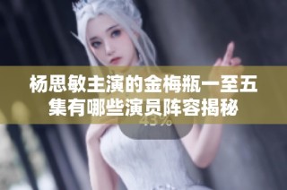 杨思敏主演的金梅瓶一至五集有哪些演员阵容揭秘