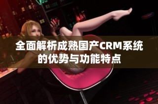 全面解析成熟国产CRM系统的优势与功能特点