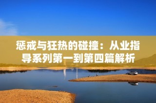 惩戒与狂热的碰撞：从业指导系列第一到第四篇解析