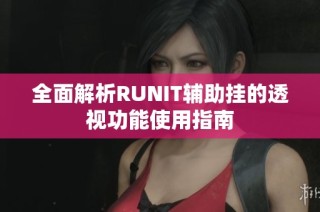 全面解析RUNIT辅助挂的透视功能使用指南