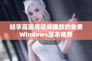 畅享高画质视频播放的免费Windows版本推荐