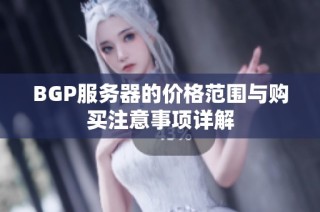 BGP服务器的价格范围与购买注意事项详解