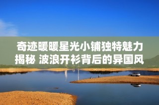 奇迹暖暖星光小铺独特魅力揭秘 波浪开衫背后的异国风情探秘