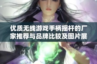 优质无线游戏手柄摇杆的厂家推荐与品牌比较及图片展示