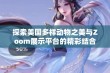 探索美国多样动物之美与Zoom展示平台的精彩结合