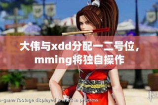 大伟与xdd分配一二号位，mming将独自操作