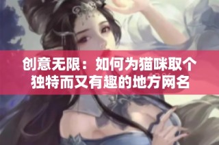 创意无限：如何为猫咪取个独特而又有趣的地方网名