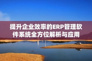 提升企业效率的ERP管理软件系统全方位解析与应用