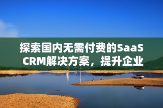 探索国内无需付费的SaaS CRM解决方案，提升企业管理效率