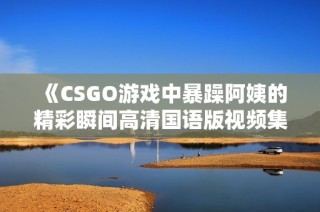 《CSGO游戏中暴躁阿姨的精彩瞬间高清国语版视频集锦》