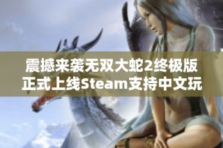 震撼来袭无双大蛇2终极版正式上线Steam支持中文玩家激情体验