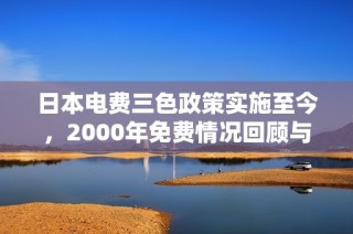 日本电费三色政策实施至今，2000年免费情况回顾与分析