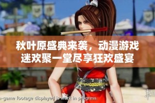 秋叶原盛典来袭，动漫游戏迷欢聚一堂尽享狂欢盛宴