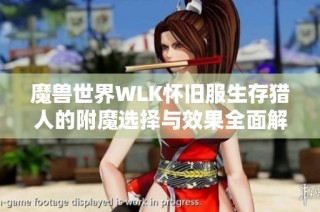 魔兽世界WLK怀旧服生存猎人的附魔选择与效果全面解析指南