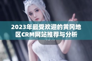 2023年最受欢迎的黄冈地区CRM网站推荐与分析