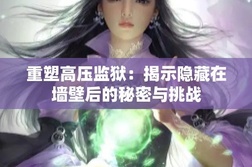 重塑高压监狱：揭示隐藏在墙壁后的秘密与挑战