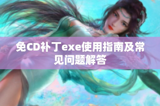 免CD补丁exe使用指南及常见问题解答