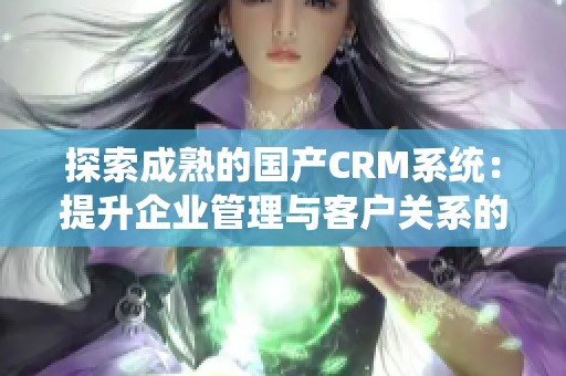 探索成熟的国产CRM系统：提升企业管理与客户关系的新选择