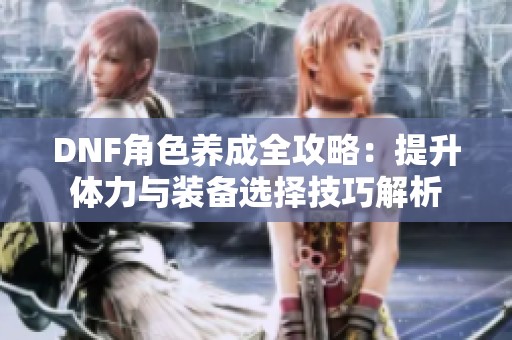 DNF角色养成全攻略：提升体力与装备选择技巧解析