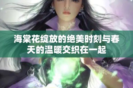 海棠花绽放的绝美时刻与春天的温暖交织在一起