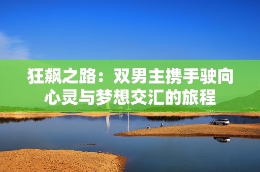 狂飙之路：双男主携手驶向心灵与梦想交汇的旅程