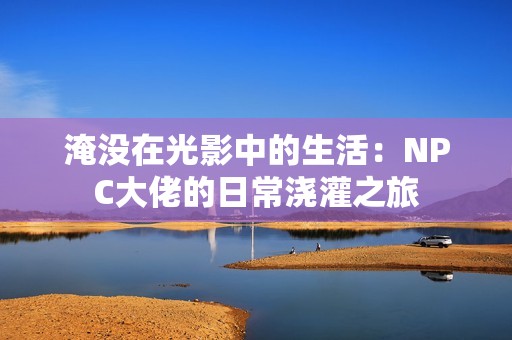 淹没在光影中的生活：NPC大佬的日常浇灌之旅