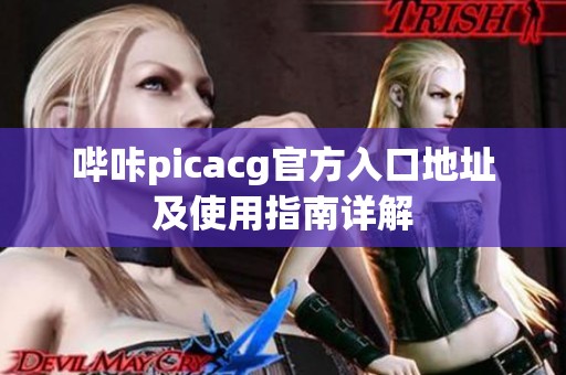 哔咔picacg官方入口地址及使用指南详解