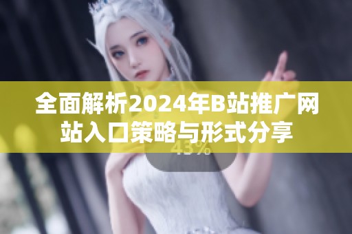 全面解析2024年B站推广网站入口策略与形式分享